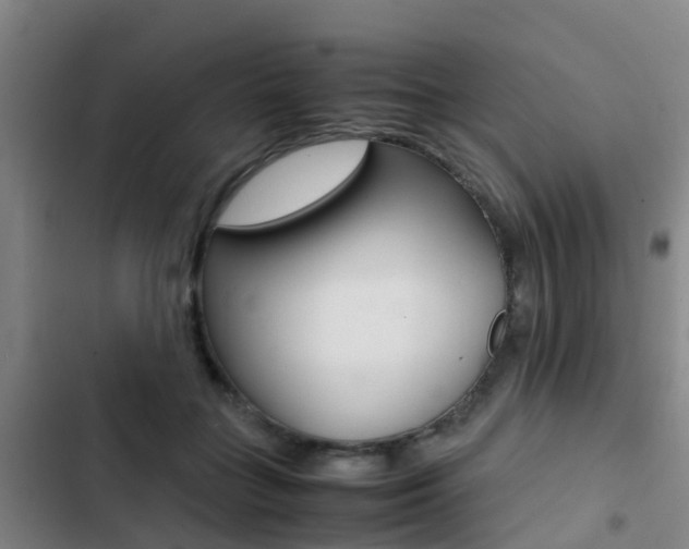 X0000103270555200808291109