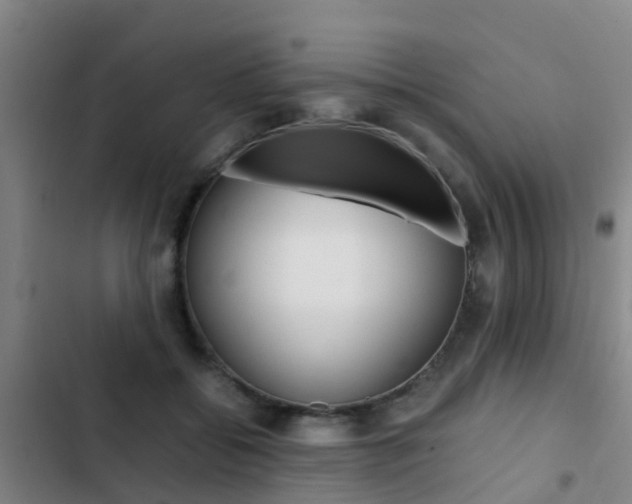 X0000103270556200808291109