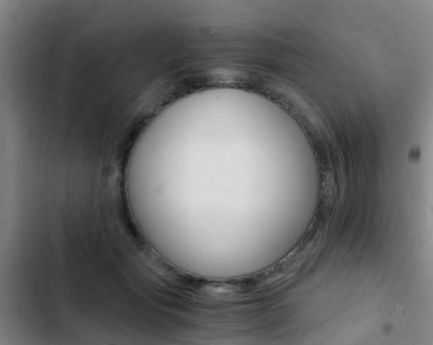 X0000103270557200808291110