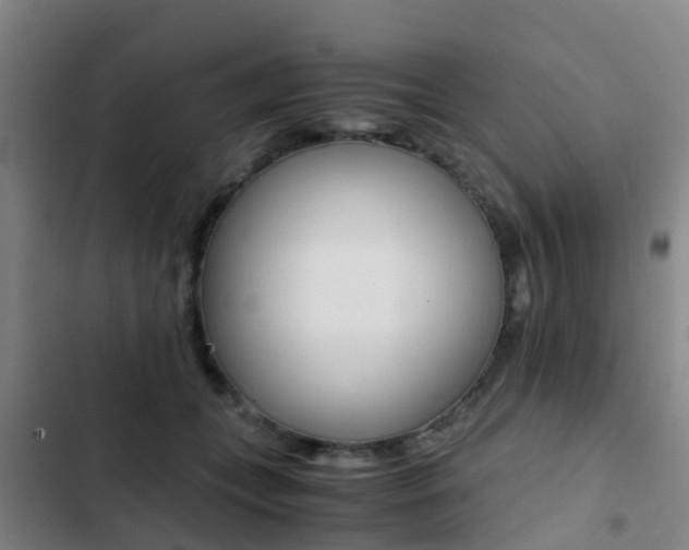 X0000103270559200808291110