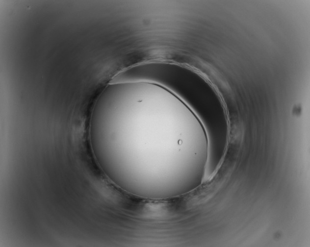 X0000103270560200808291110