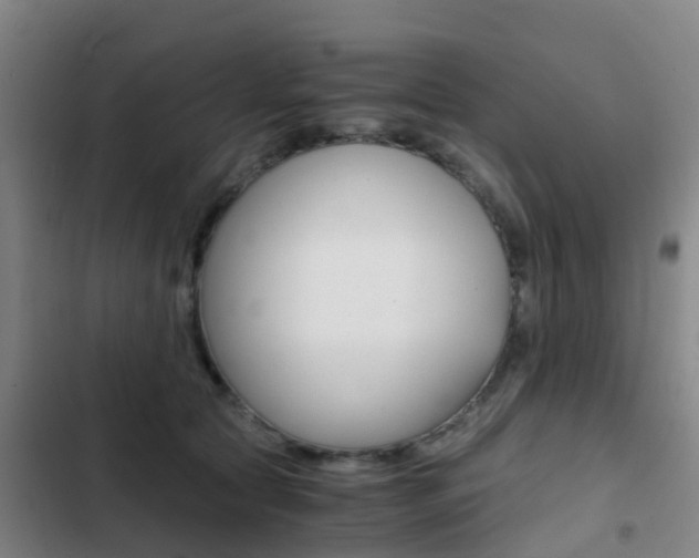 X0000103270561200808291110