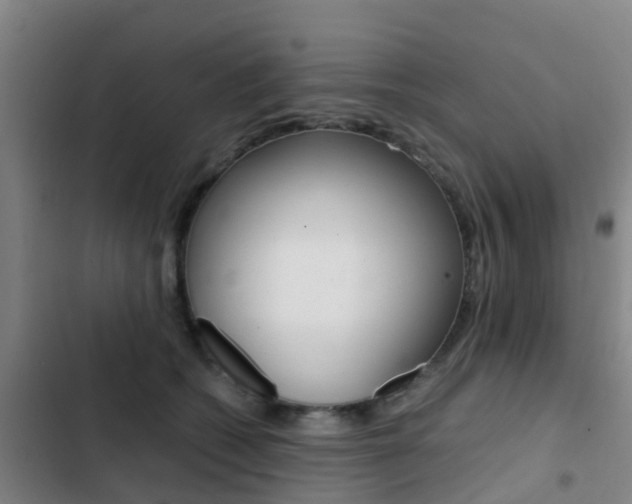 X0000103270562200808291110