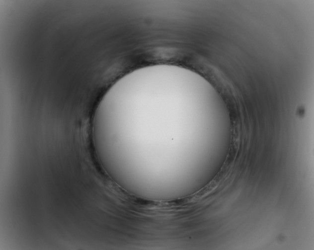 X0000103270563200808291110
