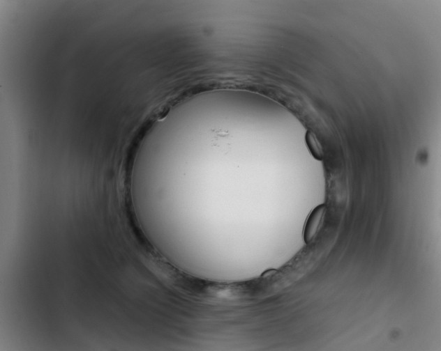 X0000103270564200808291110