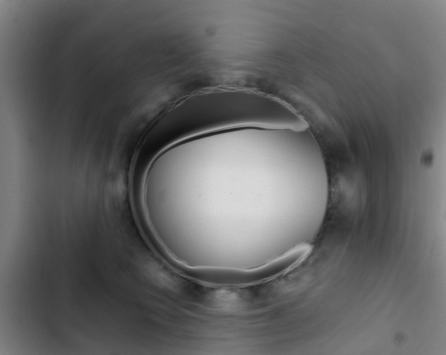 X0000103270566200808291110