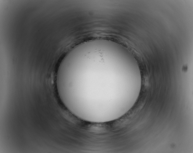 X0000103270567200808291110
