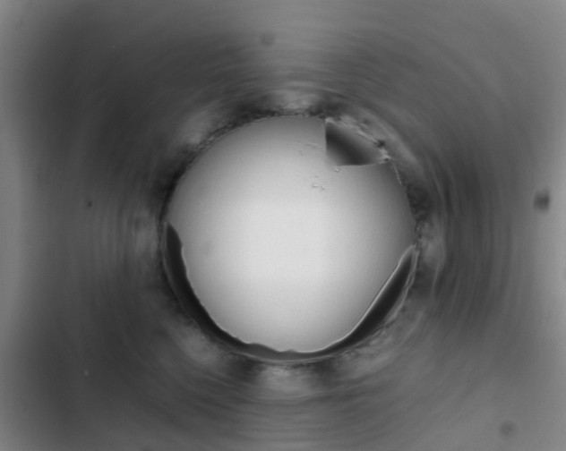 X0000103270568200808291110