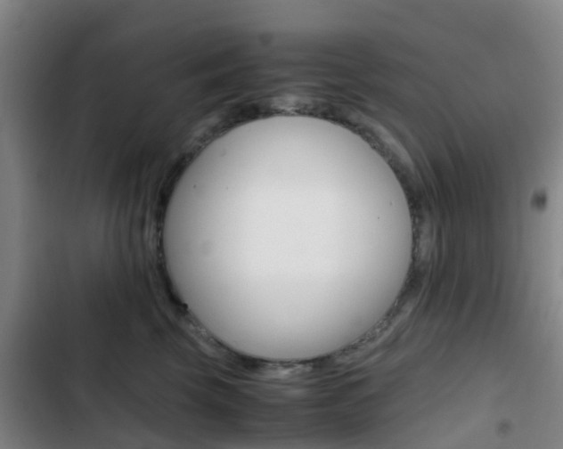 X0000103270569200808291110