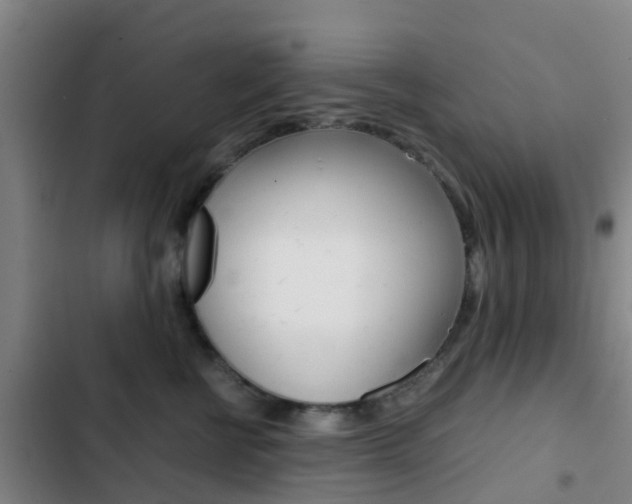 X0000103270570200808291110