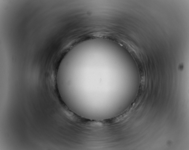 X0000103270572200808291110