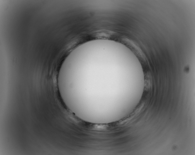 X0000103270573200808291110