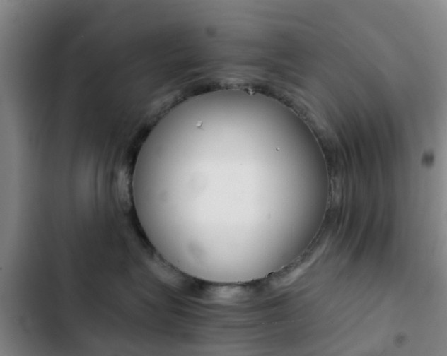 X0000103270575200808291110