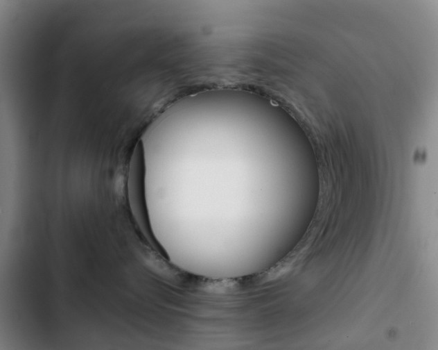 X0000103270576200808291110