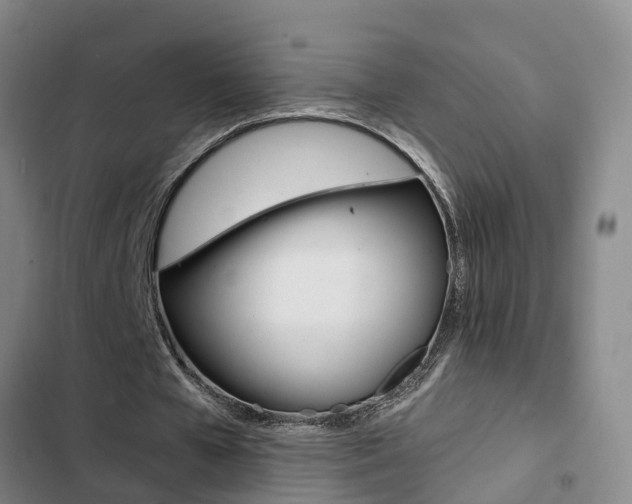 X0000103270577200808291109