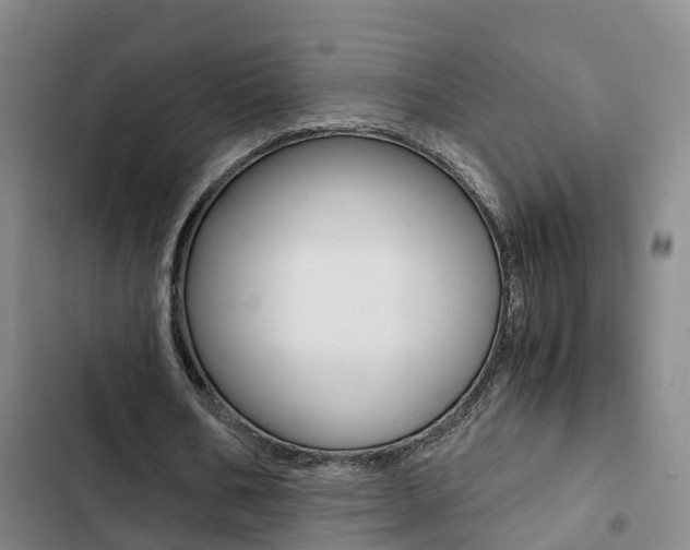 X0000103270578200808291109