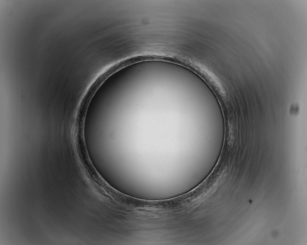 X0000103270580200808291109