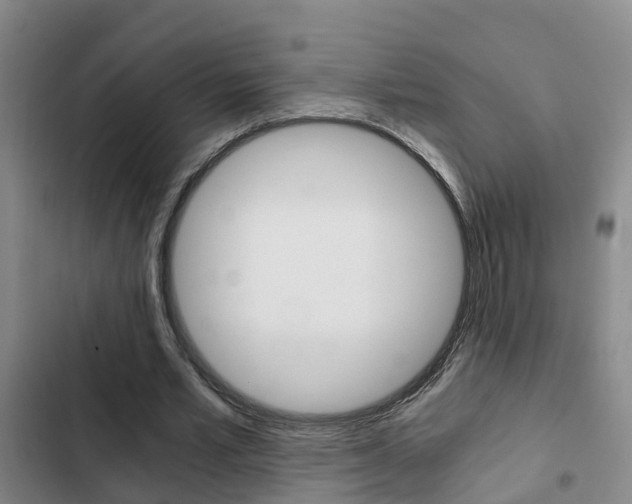 X0000103270581200808291109