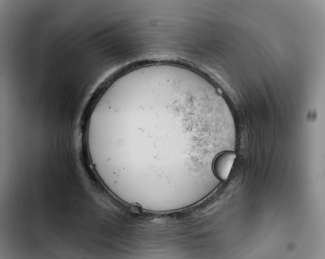 X0000103270584200808291109