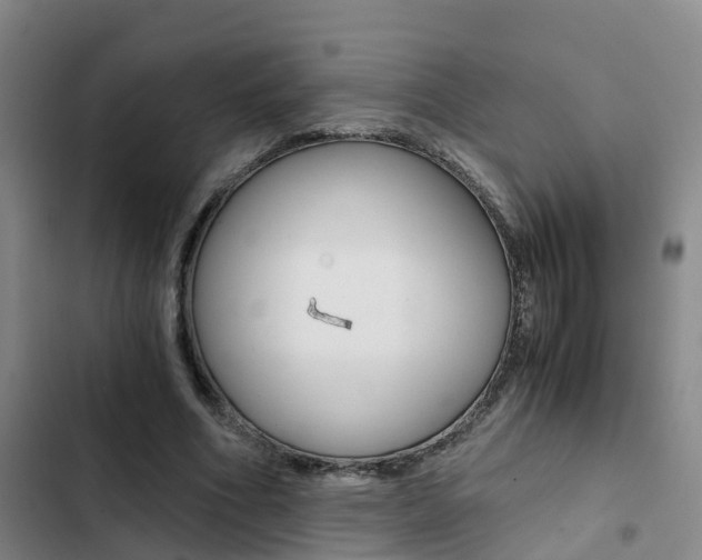X0000103270586200808291109
