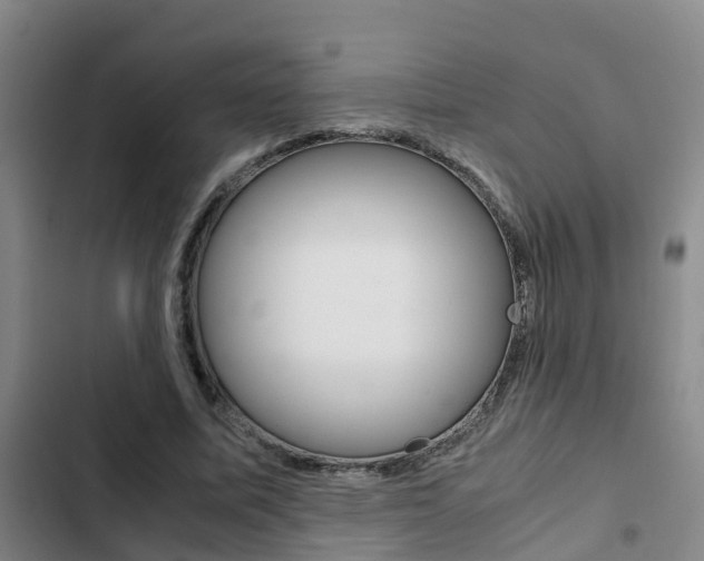 X0000103270587200808291109