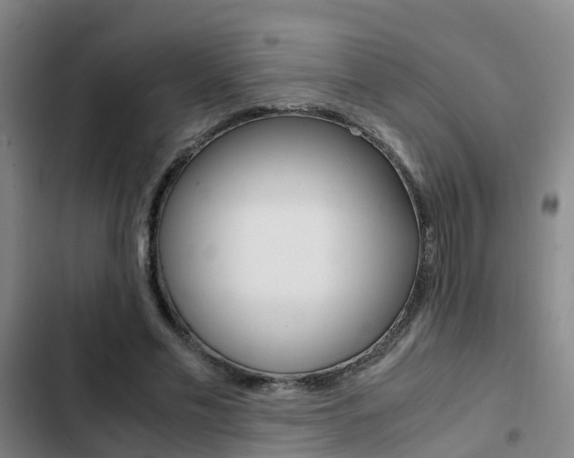 X0000103270589200808291109