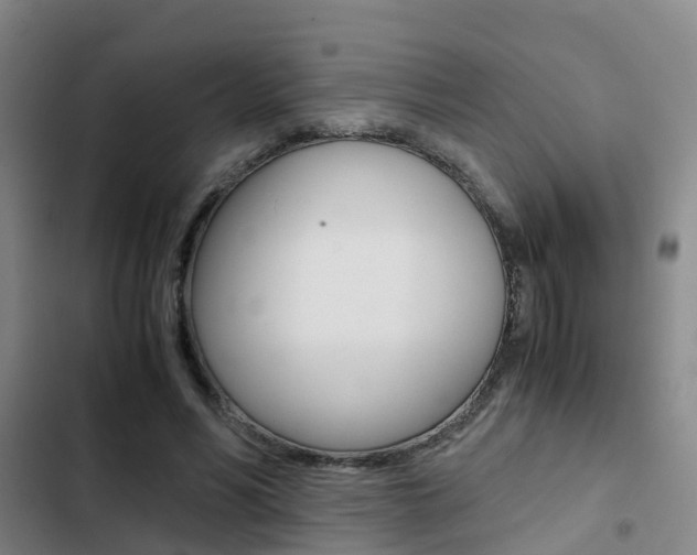 X0000103270590200808291109