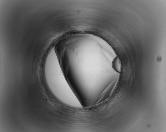 X0000103270592200808291109