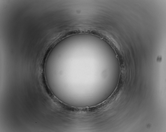 X0000103270593200808291109