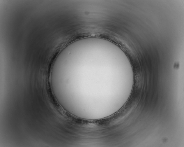 X0000103270594200808291109