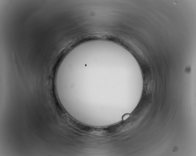 X0000103270595200808291109