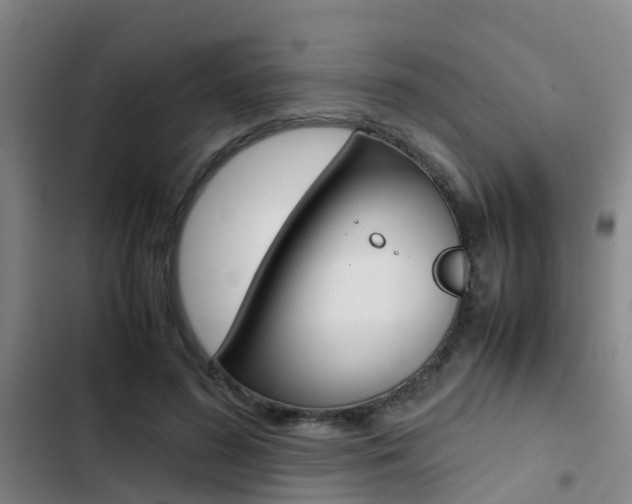 X0000103270596200808291109