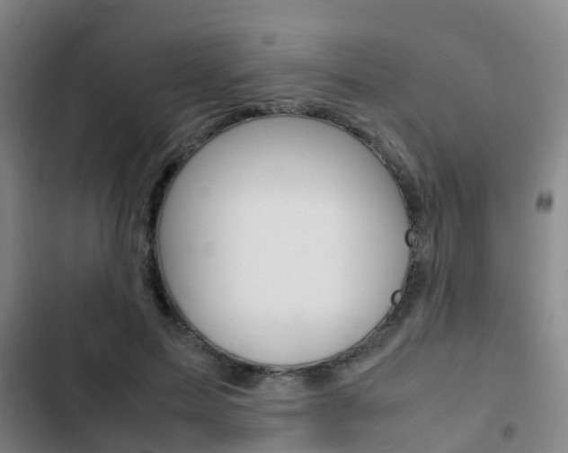X0000103270599200808291109