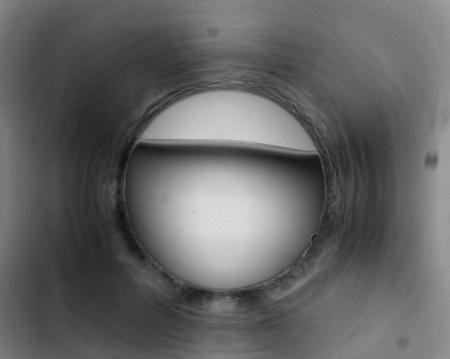 X0000103270600200808291109