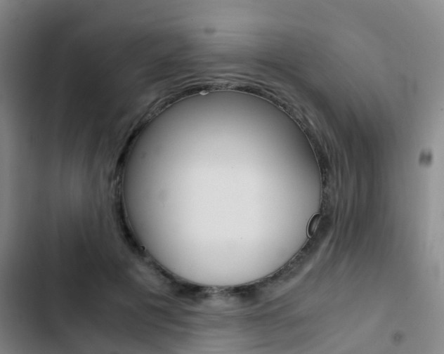 X0000103270601200808291109