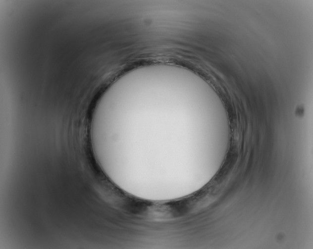 X0000103270603200808291109