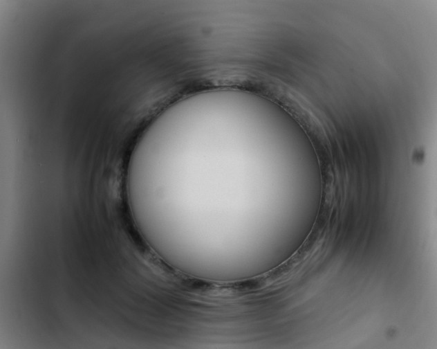 X0000103270604200808291109