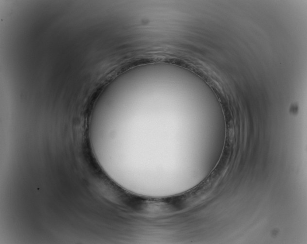 X0000103270605200808291109