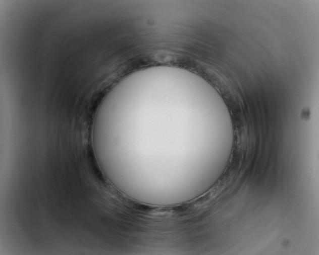 X0000103270606200808291109
