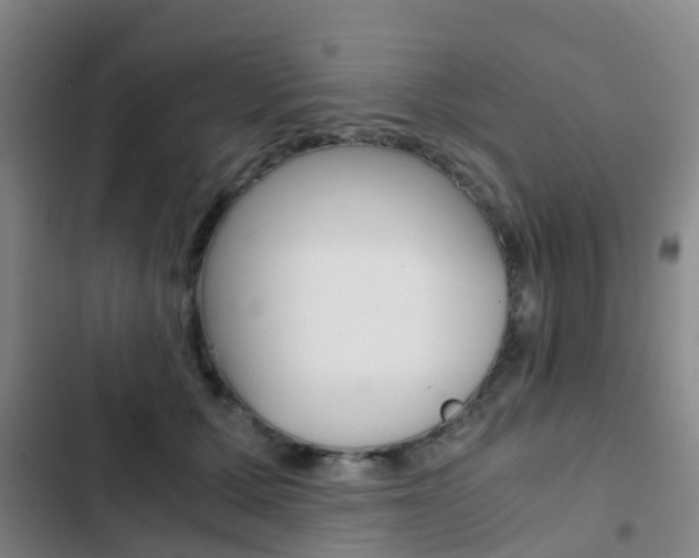 X0000103270607200808291109