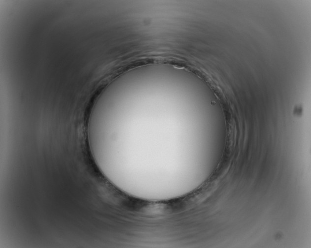 X0000103270609200808291109