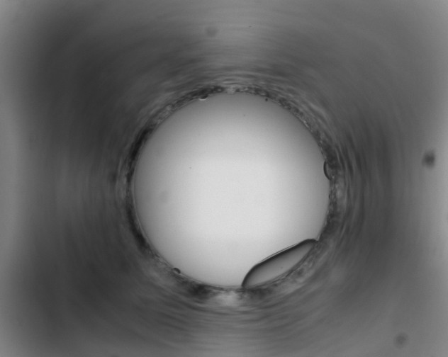 X0000103270611200808291108