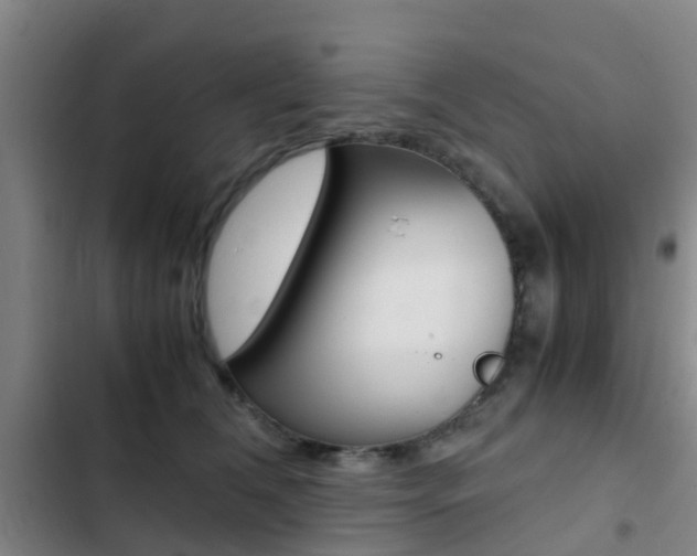 X0000103270612200808291108