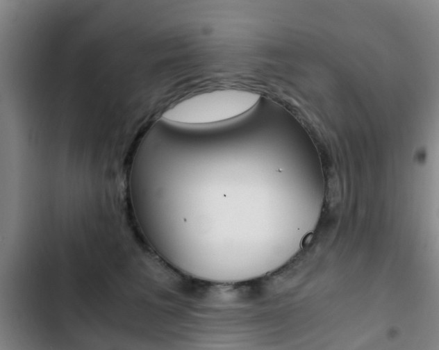 X0000103270613200808291108