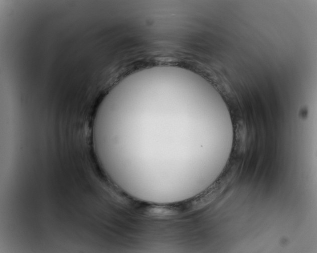 X0000103270614200808291108