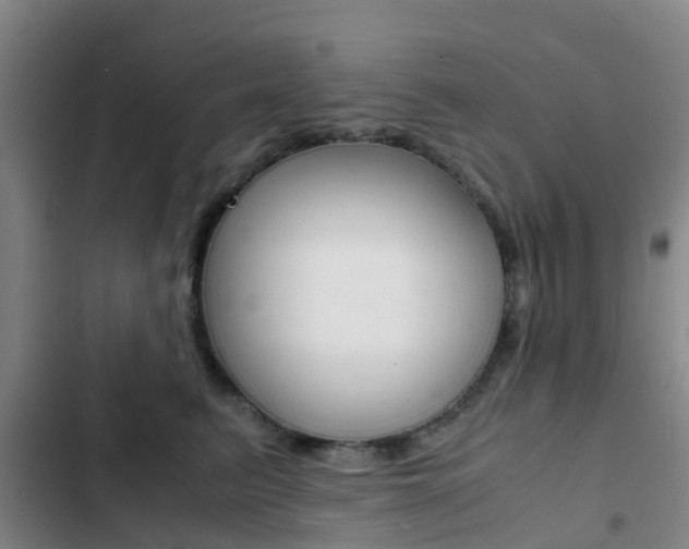 X0000103270615200808291108