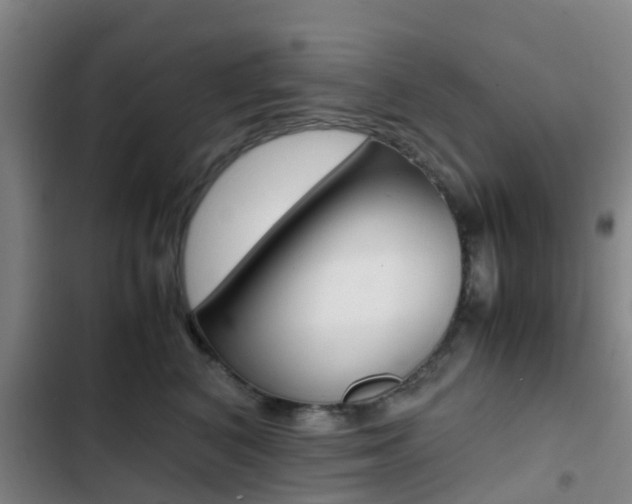 X0000103270616200808291108