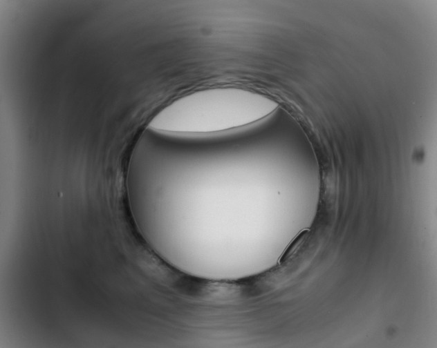 X0000103270617200808291108