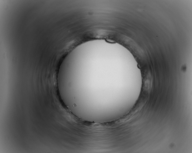 X0000103270620200808291108