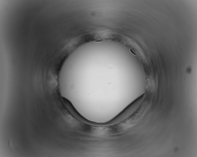 X0000103270621200808291108